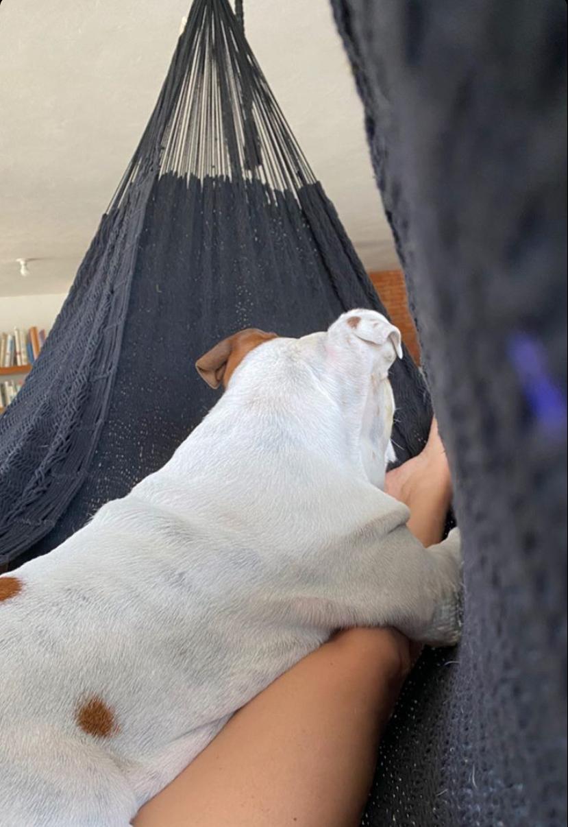Simple Hammock 